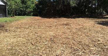 Land clearing